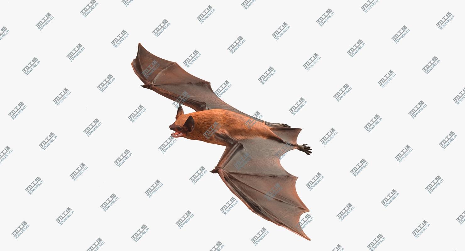 images/goods_img/2021040233/Bat Rigged for Cinema 4D/2.jpg